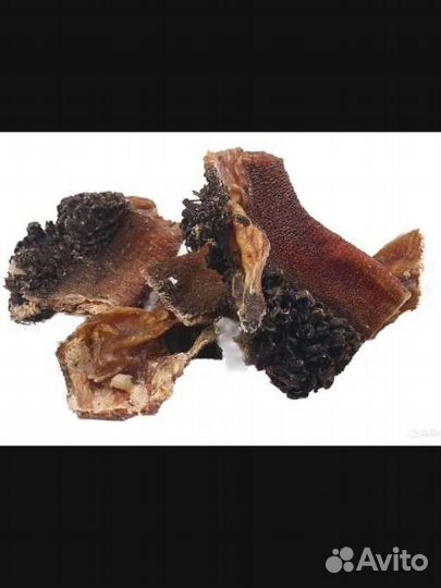 Сушёные лакомства для собак/ легкое