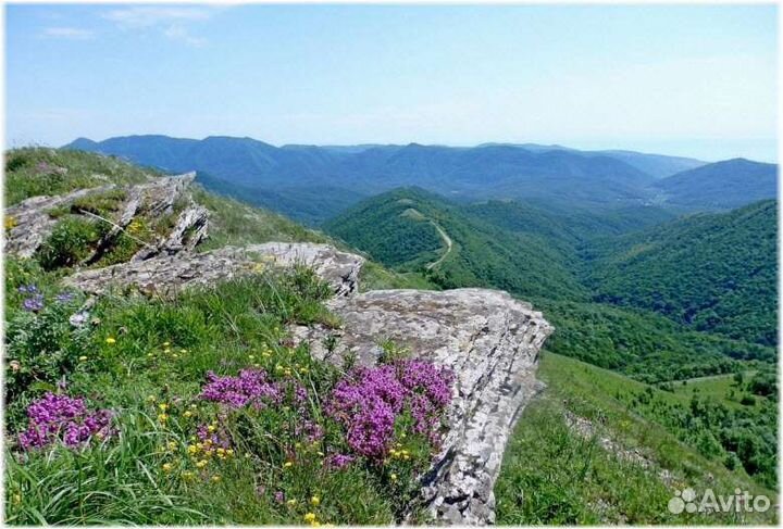 Экскурсии в горы