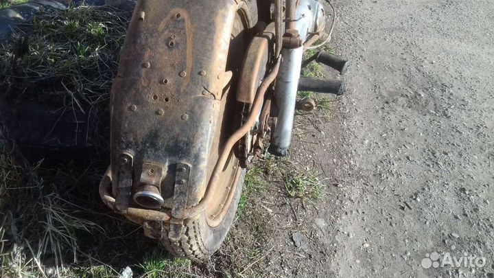 Иж 49 1952 г