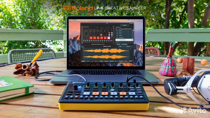 Roland P-6 Creative Sampler (Новые в наличии)