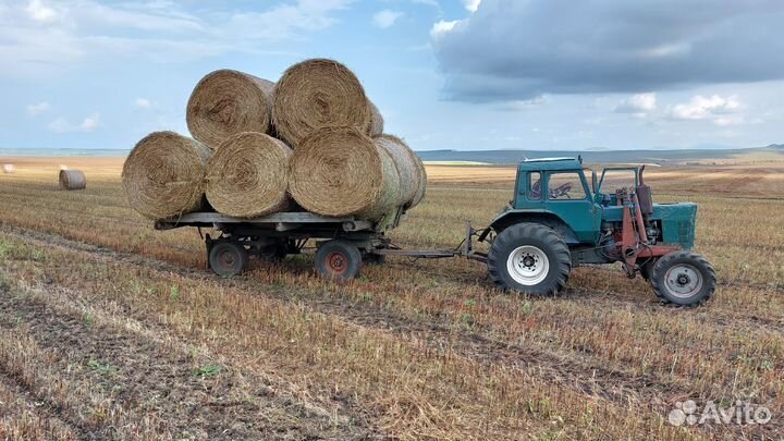 Продам сено в рулонах