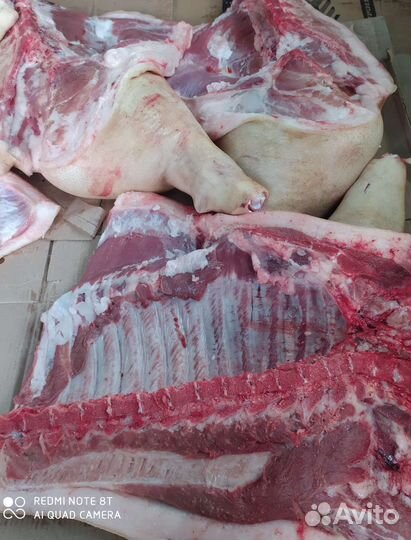 Продам мясо свинина