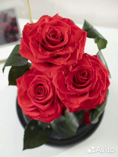 Роза в колбе