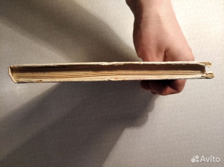 Геометрия для малышей житомирский