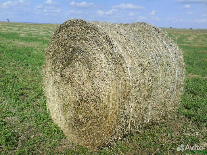 Сено в рулонах 4 шт покос 2023 г