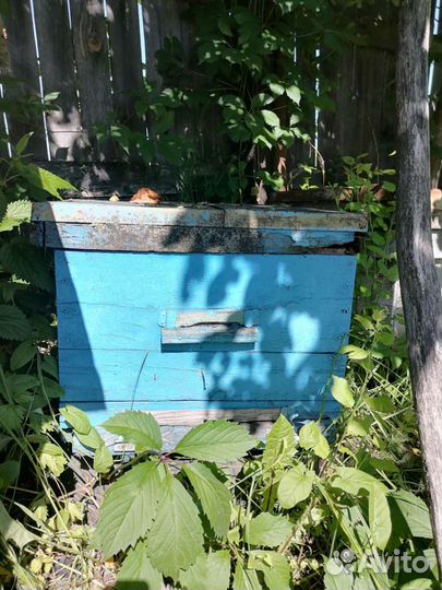 Улей для пчел