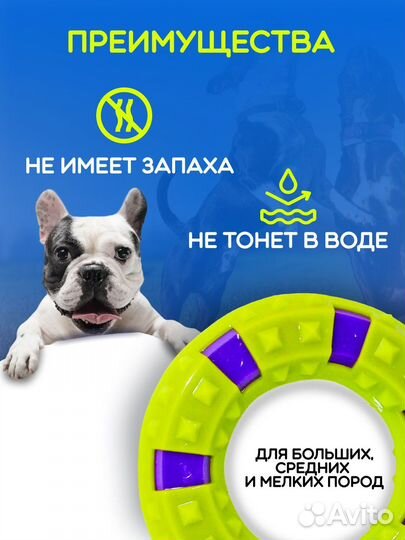 Игрушка кольцо для собак