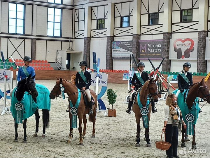 Конный спорт Конкур Выездка