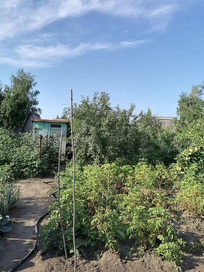 Дача 30 м² на участке 5,3 сот.
