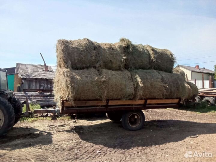 Продам сено в рулонах