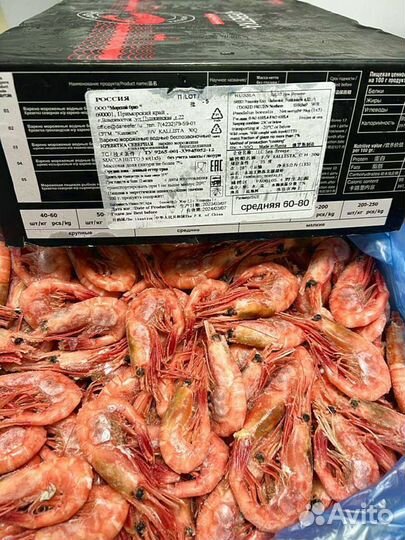 Креветка Северная