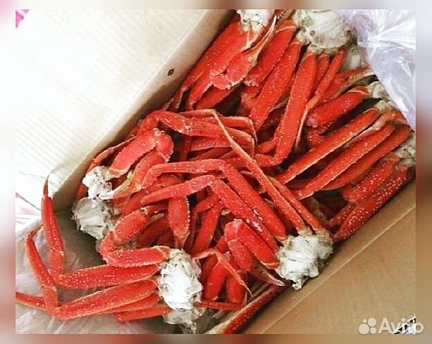 Конечности краба стригуна