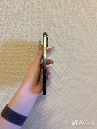 iPhone 13 Pro Max, 256 ГБ