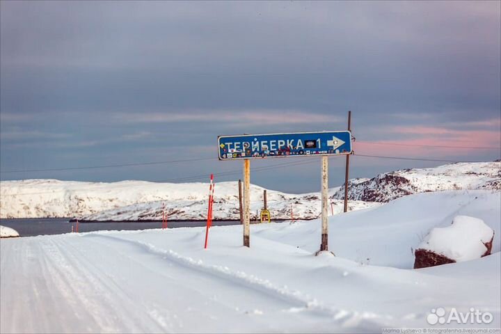 К китам в Териберку