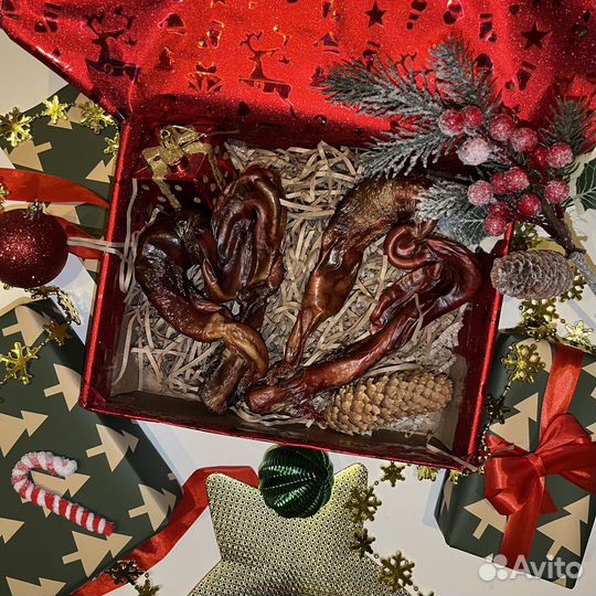 Бычий корень для собак