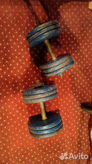 Лавка универсальная со штангой, гантели, блины