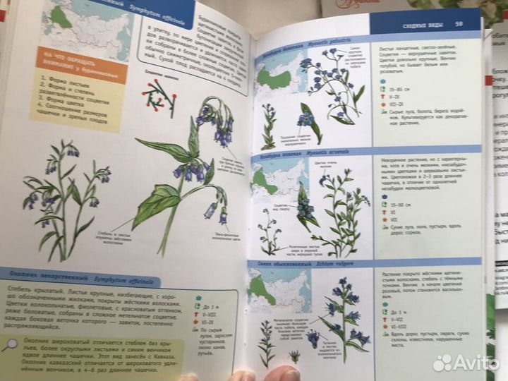 Минералы России.книга