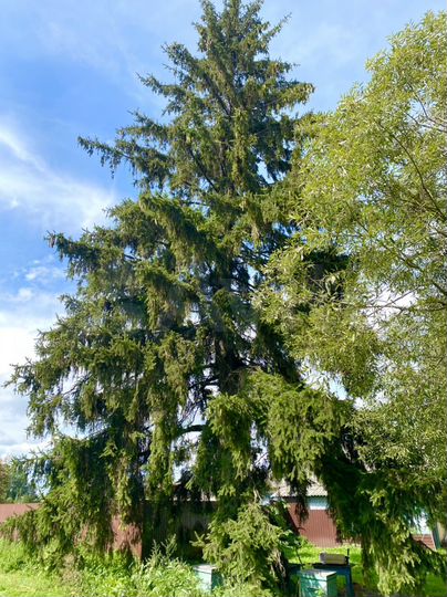 Дом 150 м² на участке 25 сот.