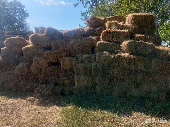 Сено в тюках