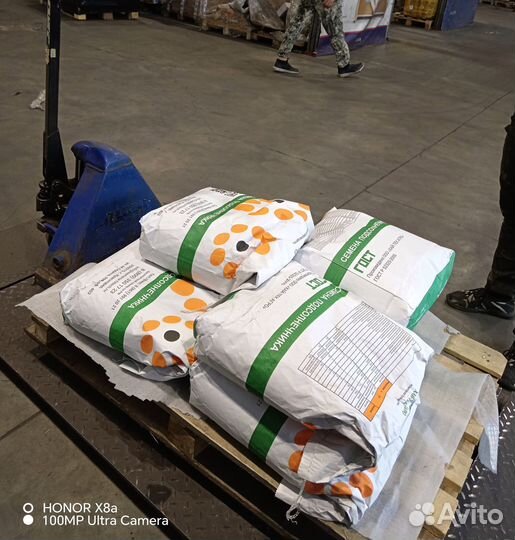 Семена подсолнечника гибрид мария ими (Евролайтинг