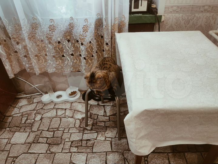 1-к. квартира, 30,3 м², 1/5 эт.