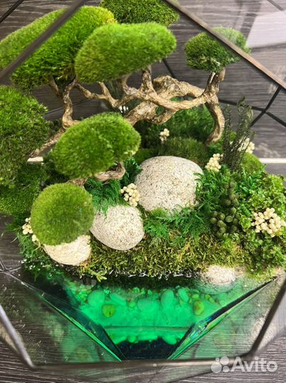 Флорариум Моссариум Оригинальный подарок
