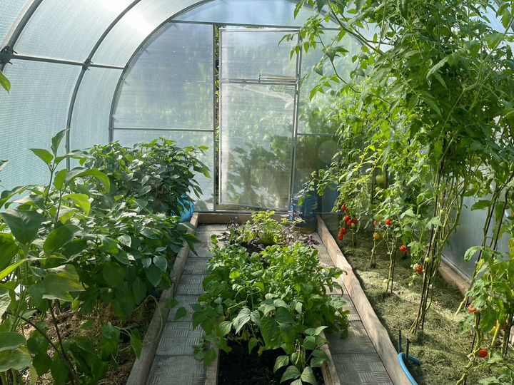 Участок 3,1 сот. (СНТ, ДНП)