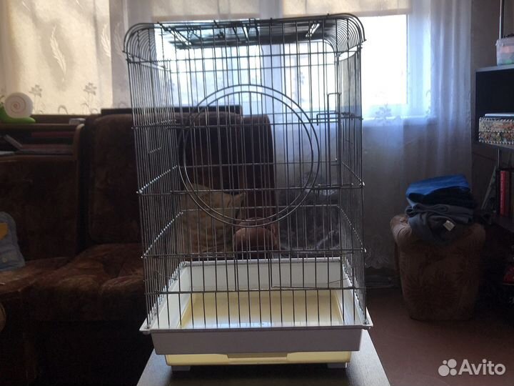 Клетка для попугая