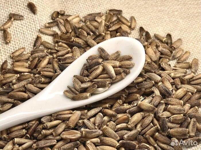 Расторопша / Семена расторопши