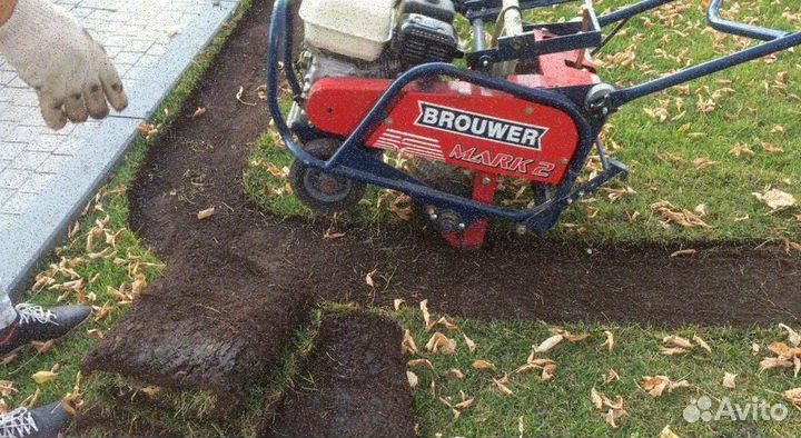 Рулонный газон от производителя