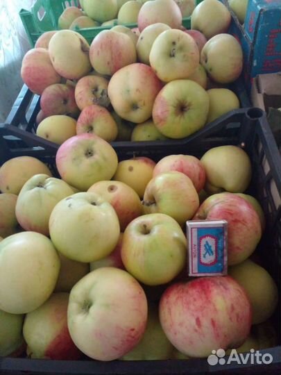 Яблоки и сок из них