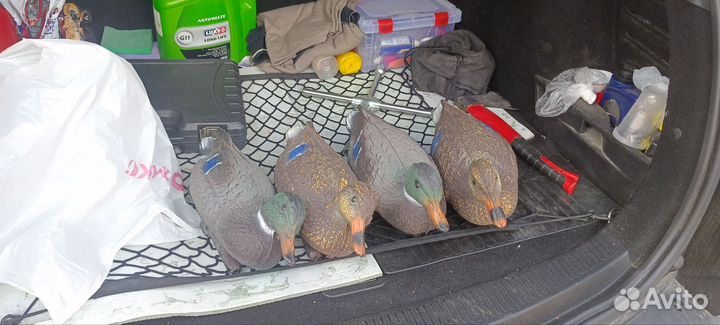 Подсадные пластиковые утки для охоты