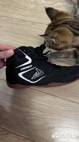 Борцовки боксерки