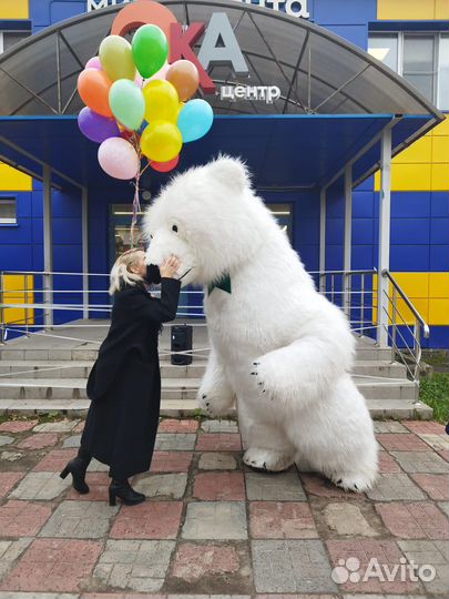 Белый мишка и Мятный Мишка поздравление