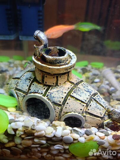 Аквариум с рыбками 10л