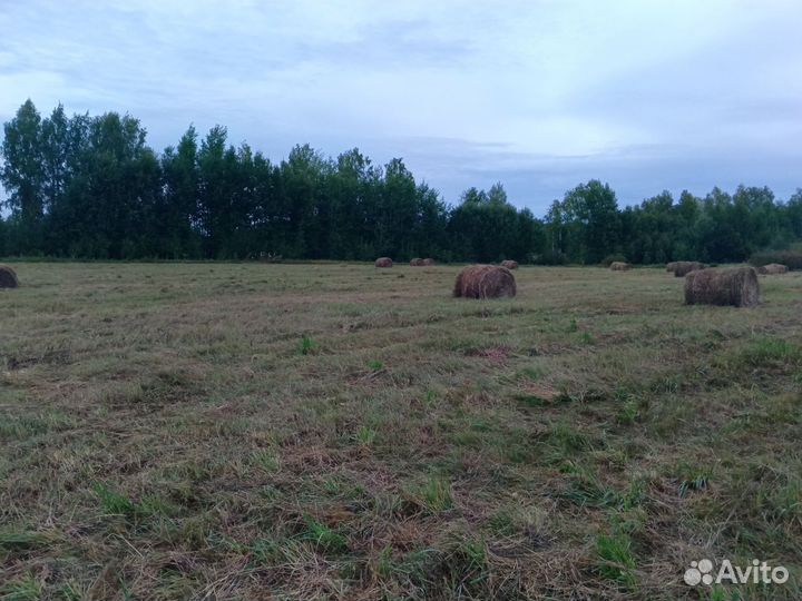 Сено в тюках