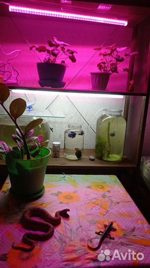 Стеллаж IKEA деревянный для цветов