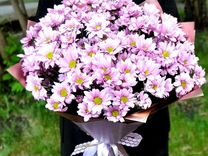 Букет Хризантем цветы