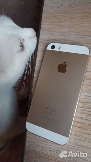 Телефон iPhone se 2016