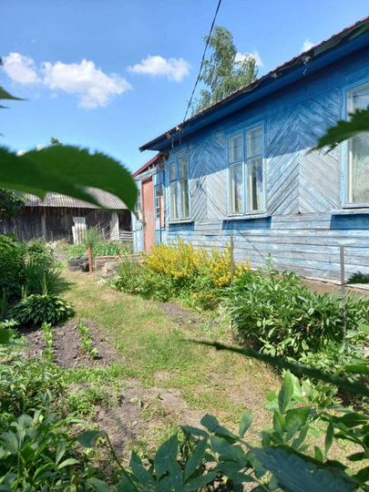 Дом 52 м² на участке 60 сот.