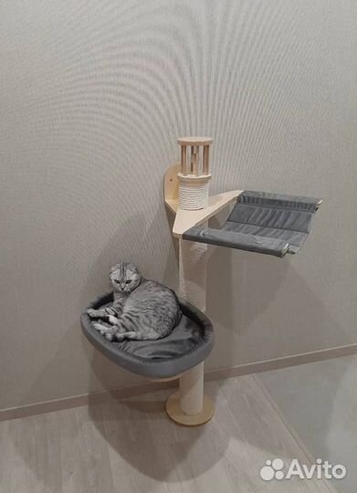 Кошачий домик-когтеточка