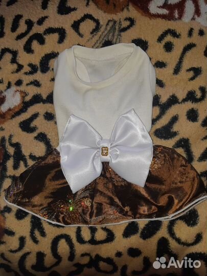 Одежда и принадлежности для маленькой собачки