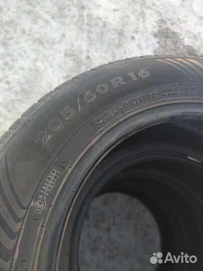 Nokian Tyres Nordman SX2 205/60 R16