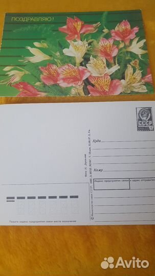 Почтовые Открытки СССР