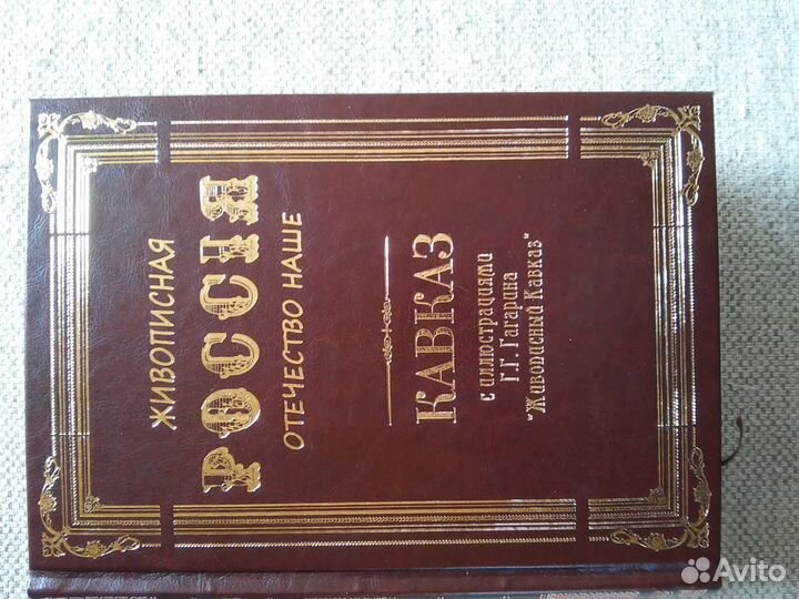 Живописная Россия +илл. Гагарина. репринт