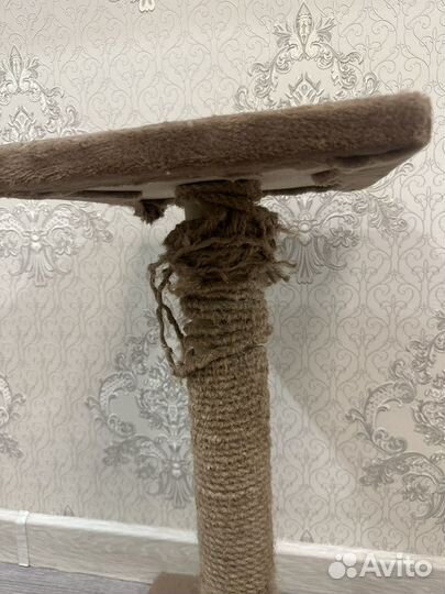 Когтеточка для кошек