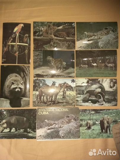 Наборы открыток