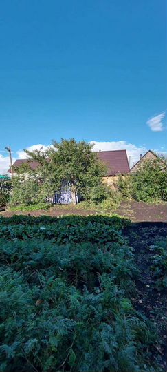 Дом 54 м² на участке 8 сот.