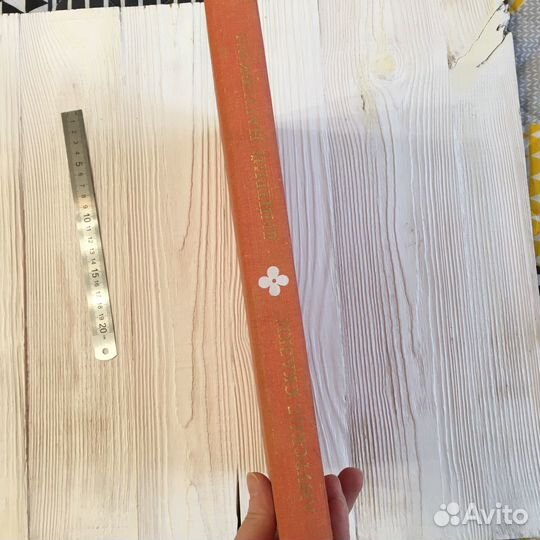 Дмитрий Нагишин 