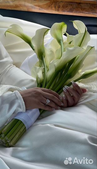 Живые Цветы Каллы Подарок Букет С Доставкой
